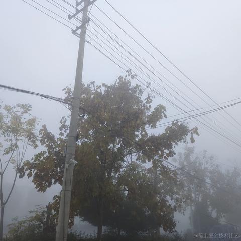 博小博于2022-11-26 09:09发布的图片