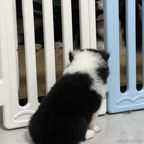 昨宵月光似练于2023-05-25 08:31发布的图片