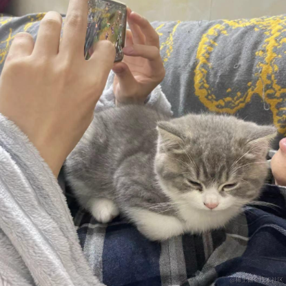 我不想丸辣于2022-03-01 09:34发布的图片