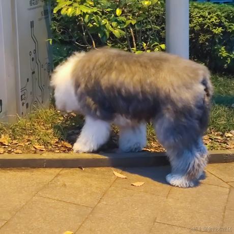 用户113997850954于2023-05-05 22:14发布的图片