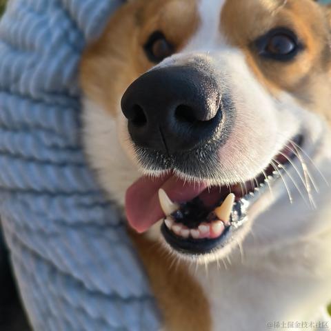 洛克克于2023-02-09 09:19发布的图片