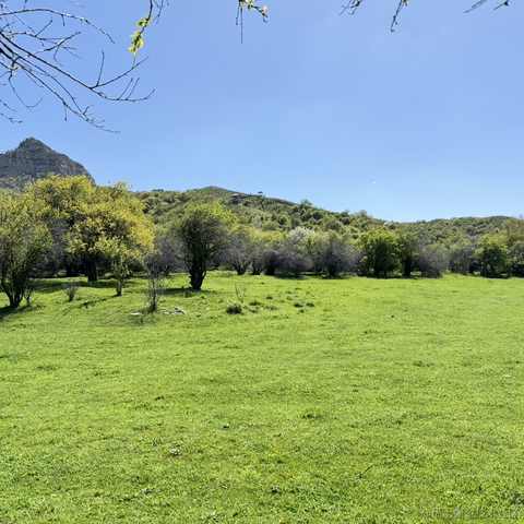 方舟小孩于2024-06-10 14:44发布的图片