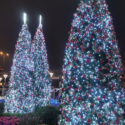 HTCHIO于2022-12-09 02:59发布的图片