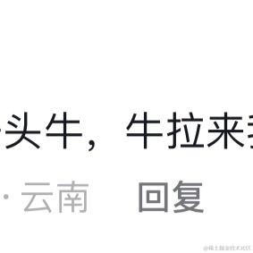 Ann于2023-06-08 07:15发布的图片