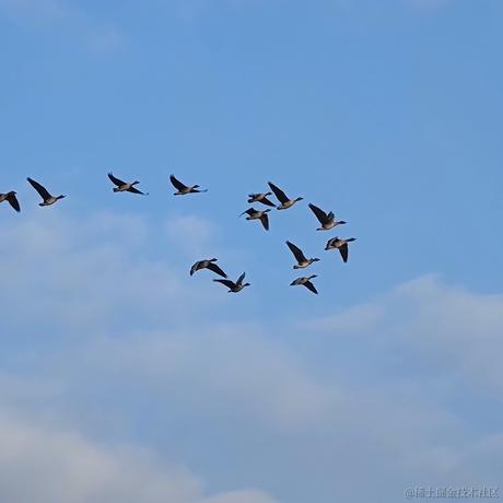 大骨熬成汤于2022-11-25 22:39发布的图片