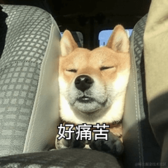 Passerby_Z于2020-09-22 13:50发布的图片