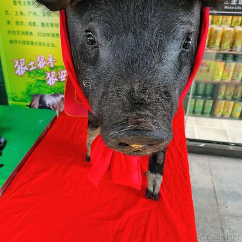 代码大师于2023-04-23 15:59发布的图片