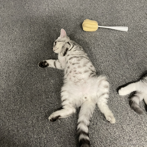 晚比大魔王于2022-11-25 09:04发布的图片