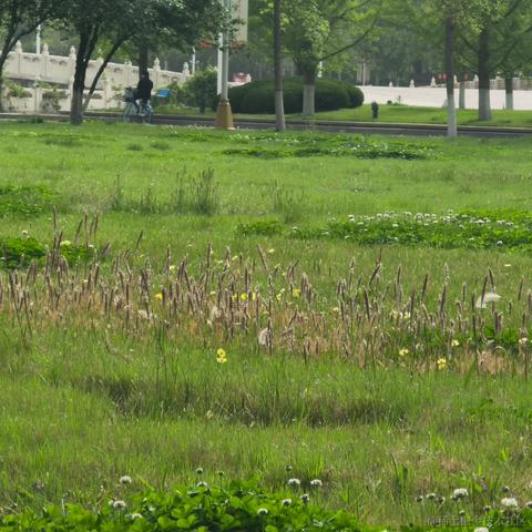 vincookies于2023-04-14 23:47发布的图片