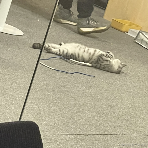 晚比大魔王于2022-11-23 10:30发布的图片