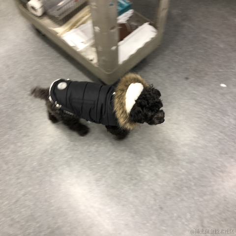 stanleykubrick于2022-11-27 19:24发布的图片