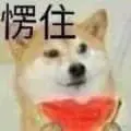 狗00049-愣住.jpg