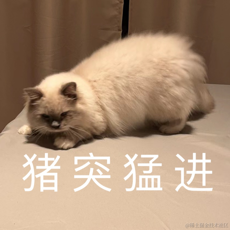 打你的修狗于2023-04-08 00:50发布的图片