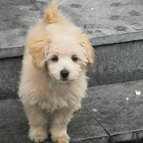 Aka_senyan于2022-11-18 21:08发布的图片