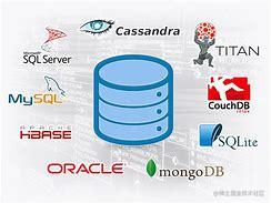 Data Manage 管理