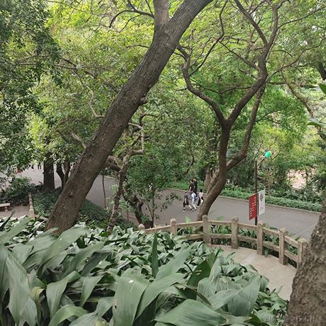 用户4855013013781于2023-05-01 14:16发布的图片