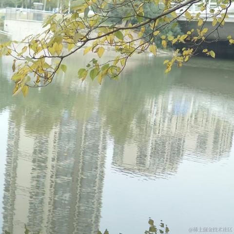 我是乃琳的狗于2022-11-23 16:33发布的图片