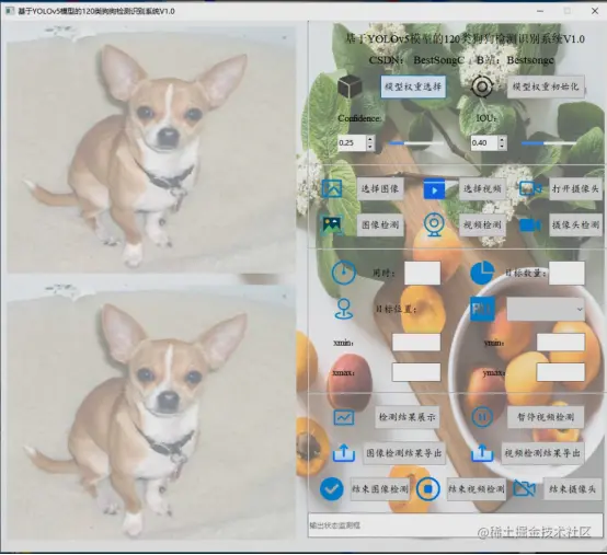 基于YOLOv5模型的120类狗狗检测识别系统V1.01796.png