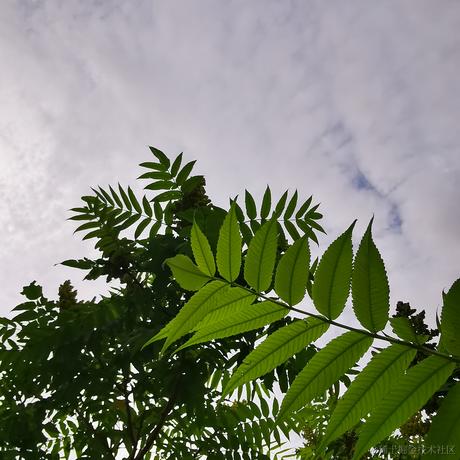 moreThan于2021-05-21 14:53发布的图片