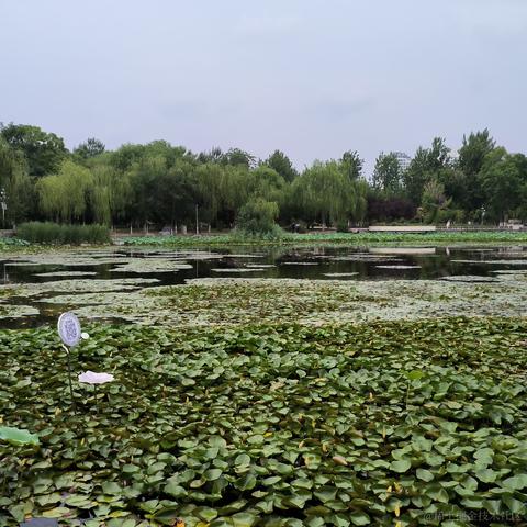 小温爱搞机于2023-06-30 09:27发布的图片