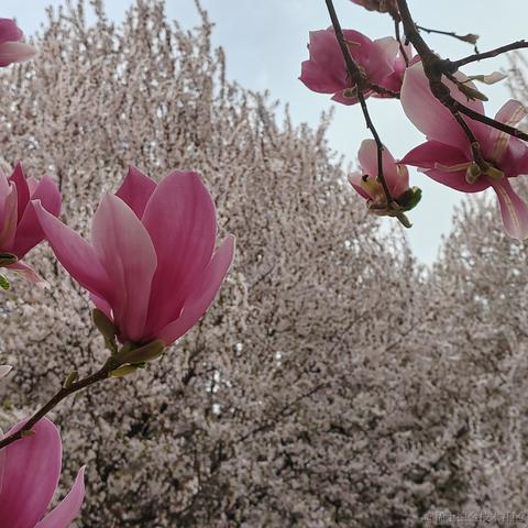 从0开始的go世界于2023-04-16 21:36发布的图片