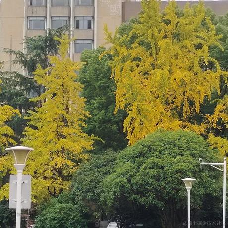 四面游鳞于2022-11-19 10:32发布的图片