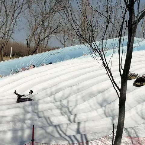 樱之花于2023-01-24 22:31发布的图片