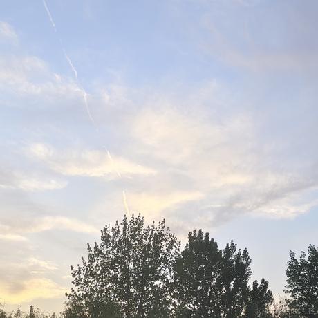 x2098716995于2023-04-23 23:58发布的图片