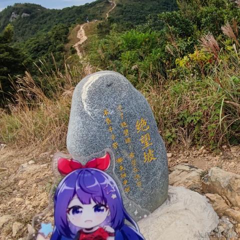 脆弱杨桃干于2022-11-15 23:28发布的图片
