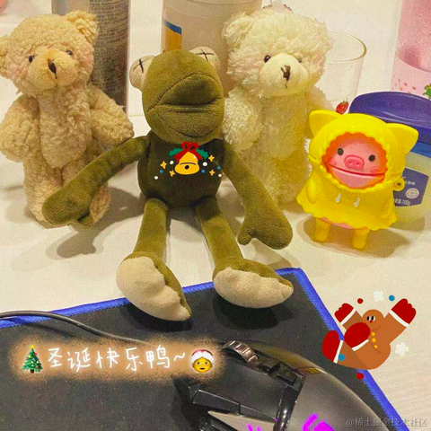 什么阿猫于2020-12-24 11:31发布的图片
