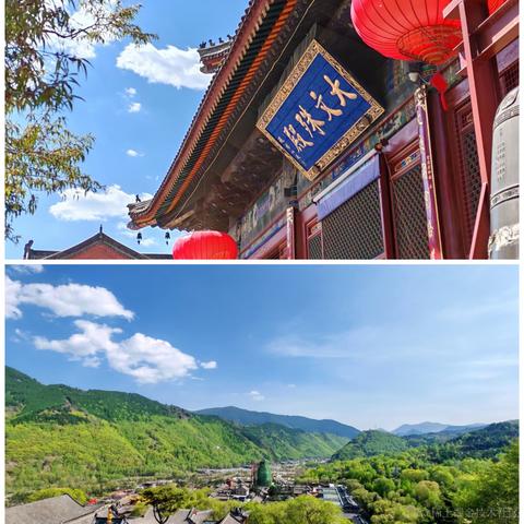 Sarah_于2024-05-24 18:33发布的图片