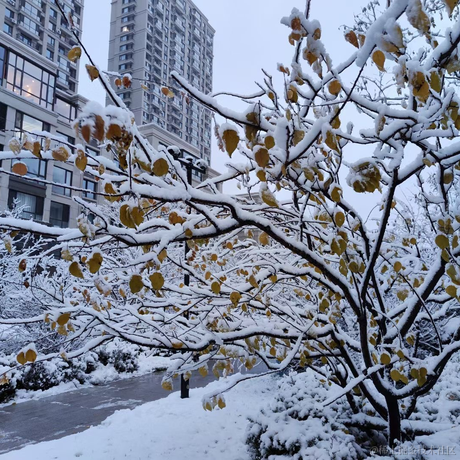 Sorin_joe于2022-11-12 18:13发布的图片