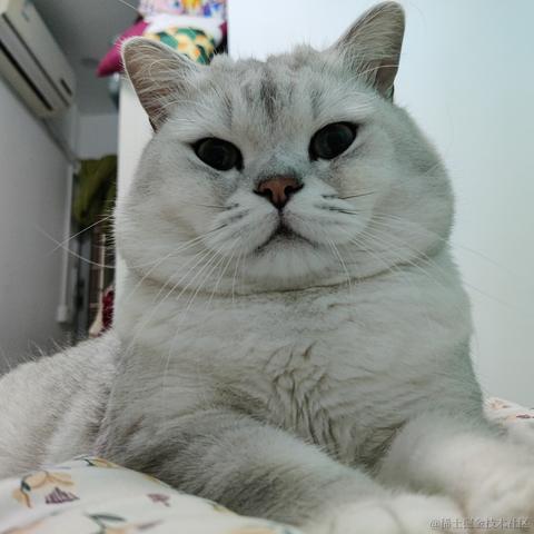 叨叨呀于2022-04-12 21:11发布的图片