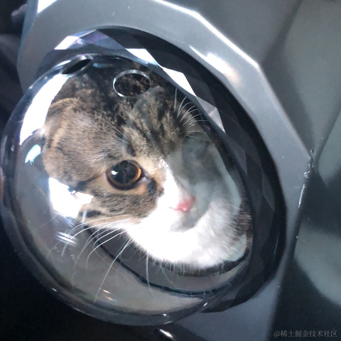 Daenery于2021-11-28 10:04发布的图片