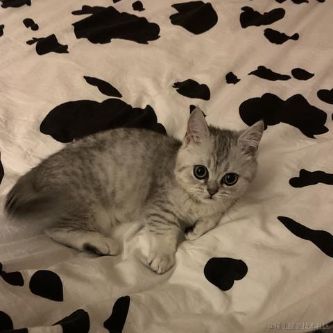 已注销于2021-01-19 11:20发布的图片