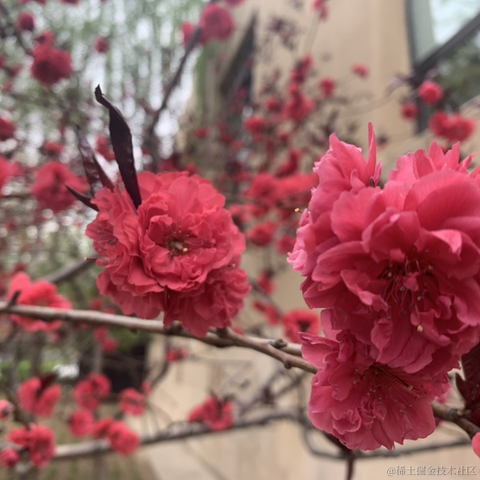 已注销于2021-04-09 12:28发布的图片