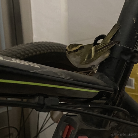 嘉然丶明天吃什么于2022-11-22 22:59发布的图片