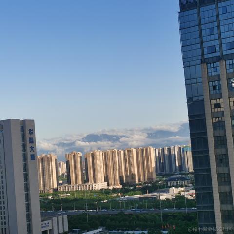 一只辣条于2023-05-24 09:16发布的图片