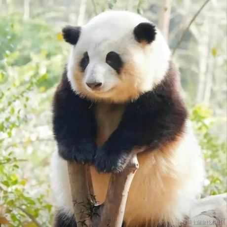 我不是有名字吗嘛于2023-05-06 10:13发布的图片