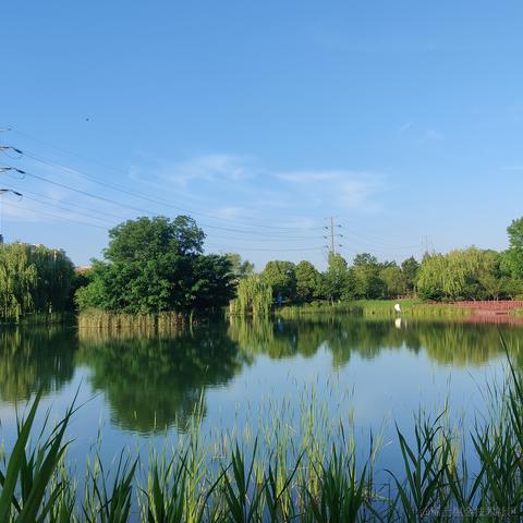 __Petrichor于2024-05-08 17:38发布的图片