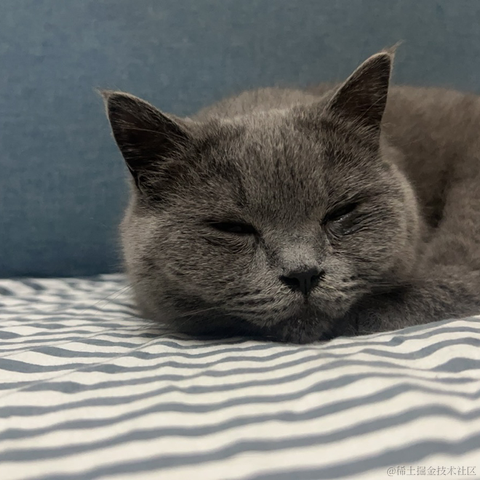 JAVA旭阳于2022-12-30 09:23发布的图片