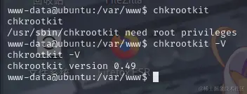 chkrootkit版本.png