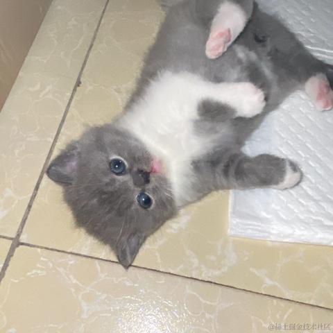 二十一一于2023-05-21 23:25发布的图片