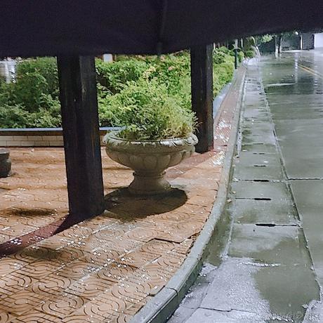 在在456于2022-11-27 22:11发布的图片