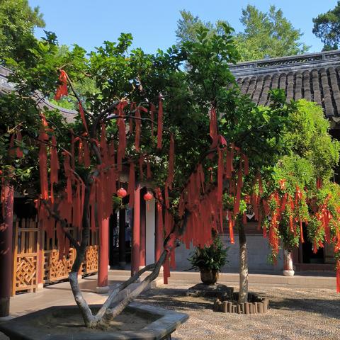 ma77于2023-08-16 12:08发布的图片
