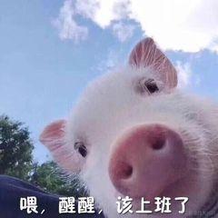 拾忆209于2022-04-12 13:42发布的图片