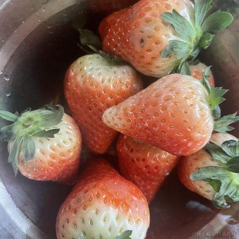 Pipu于2022-12-08 11:40发布的图片