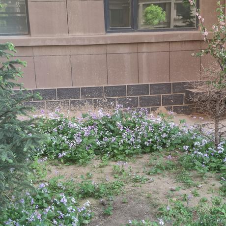 用户1008683613726于2023-05-13 20:34发布的图片