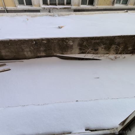 夏炎于2022-11-30 21:04发布的图片