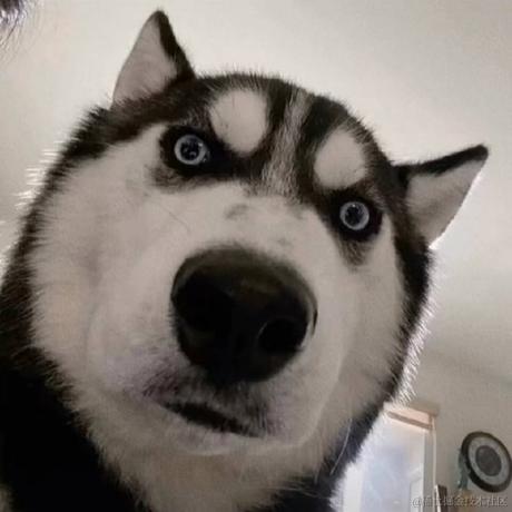 有一个朋友于2021-10-09 11:44发布的图片